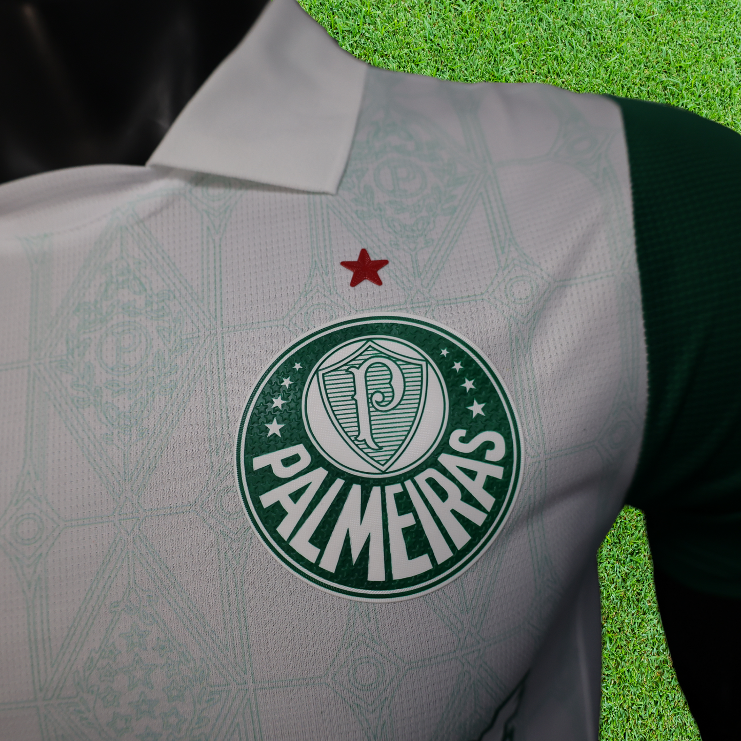 Camiseta Palmeiras Segunda 25/26 Jugador 