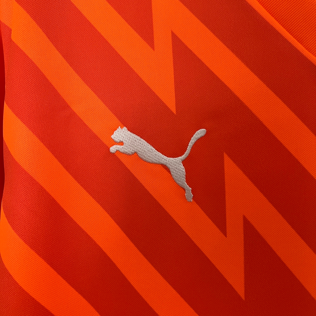 Camisa Palmeiras Goleiro 24/25 Torcedor