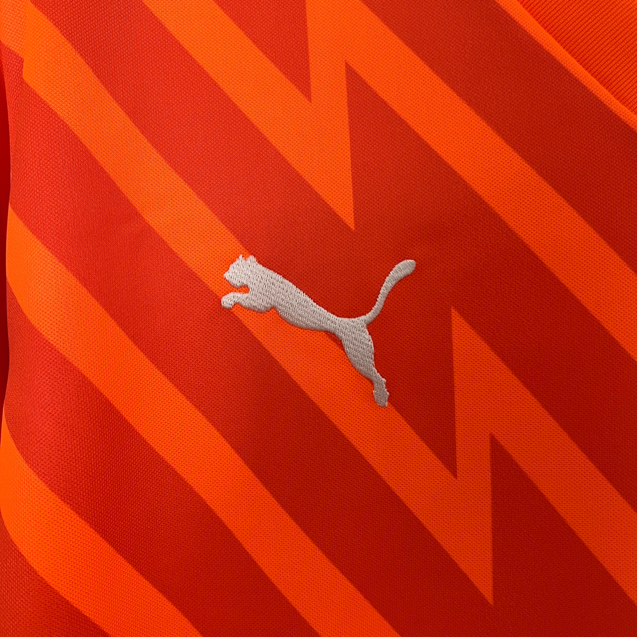 Camisa Palmeiras Goleiro 24/25 Torcedor