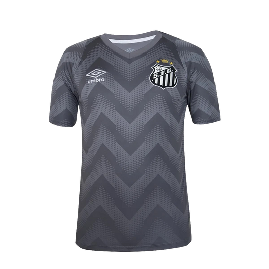Santos 24/25 Goalkeeper Jersey - Gray - Fan Version
