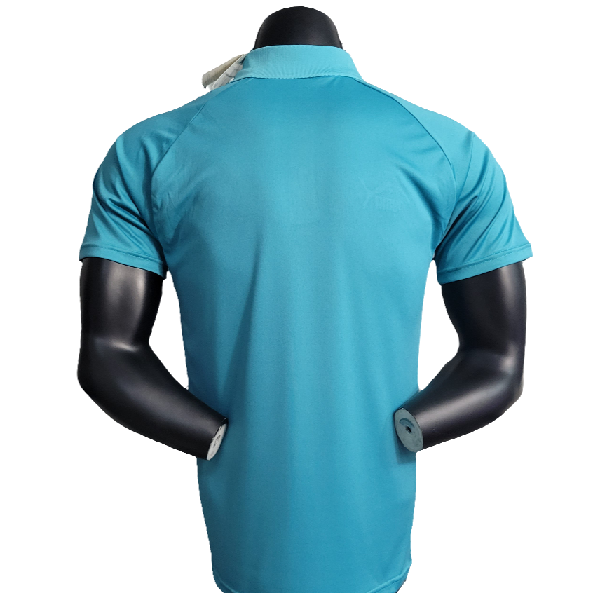 Camiseta Polo Palmeiras 23/24 - Verde Claro - Versión Fan