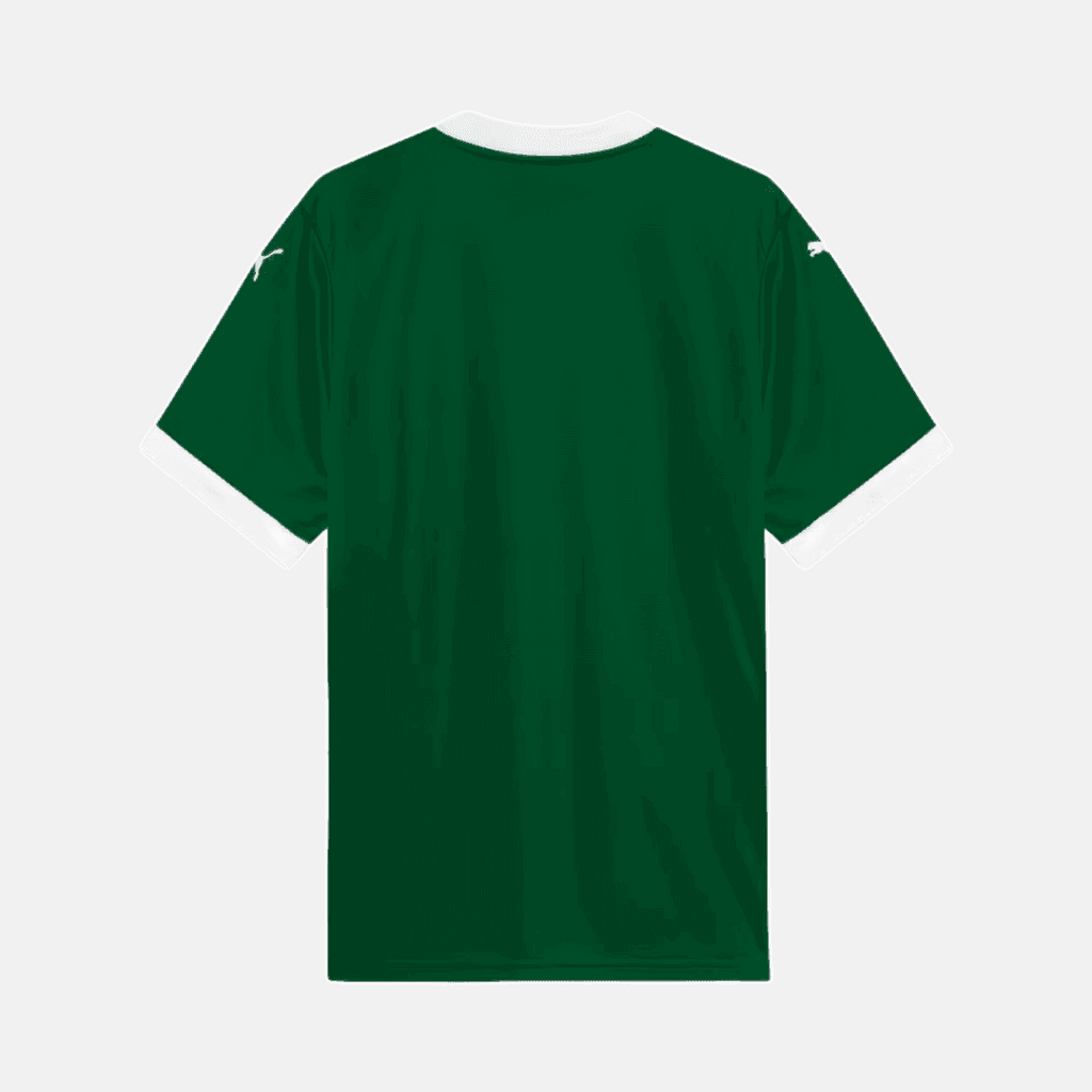 Camisa Puma Palmeiras 2025/26 I - Richard Rios N° 8