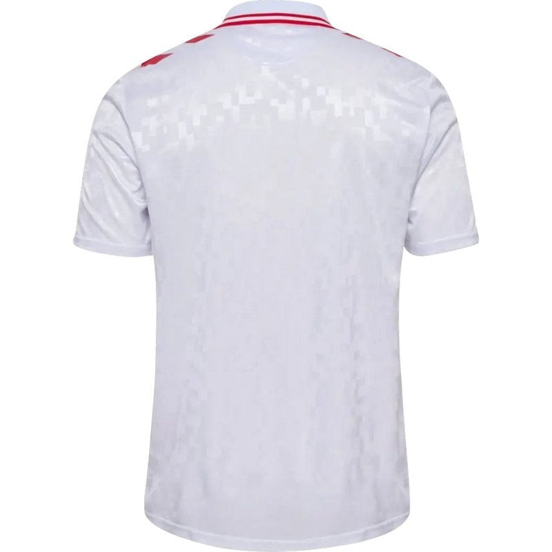 Camiseta visitante de Dinamarca 24/25 II (versión para aficionados)